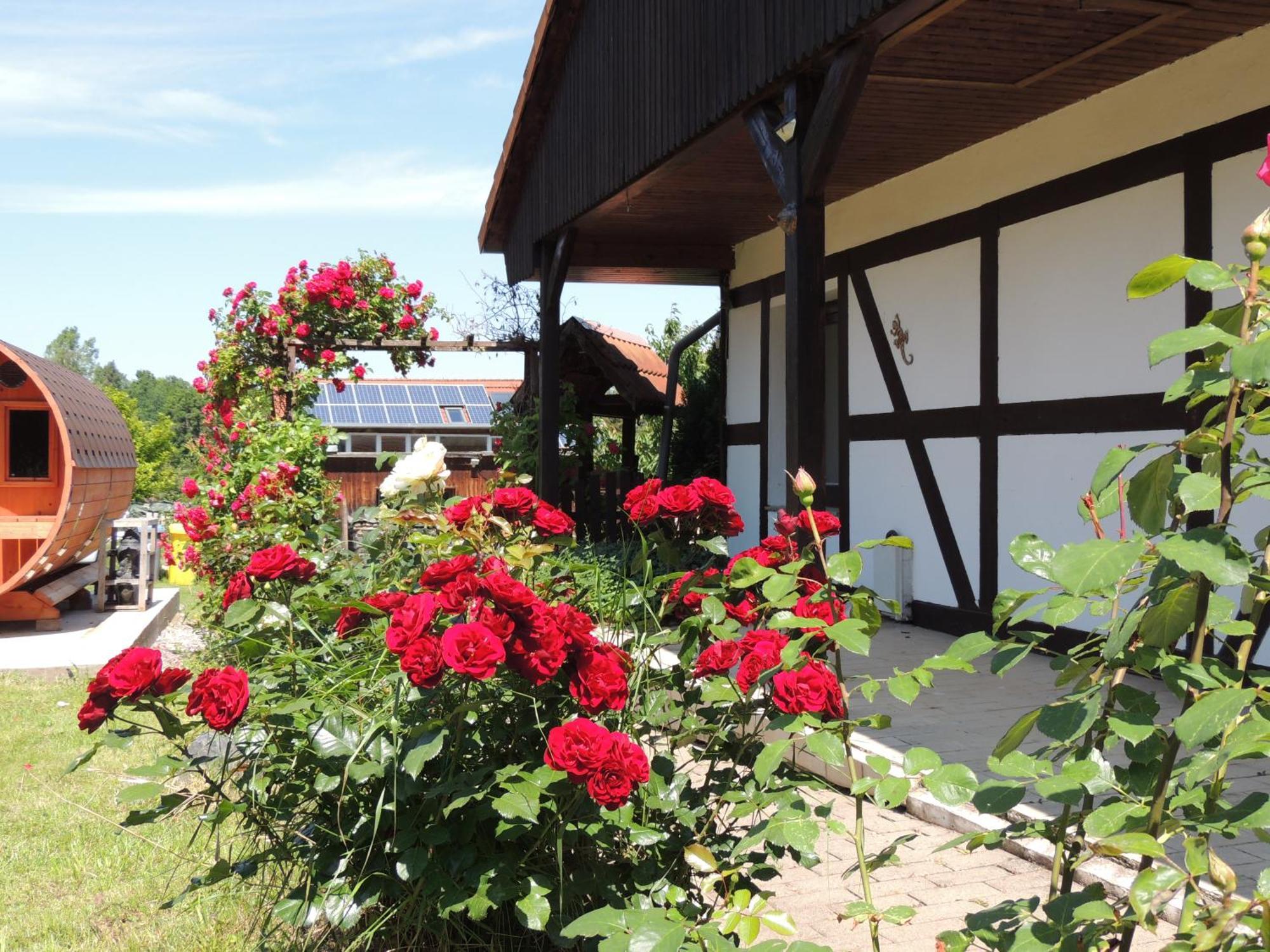 Ferienhaus Weinberg Wernigerode Exterior photo